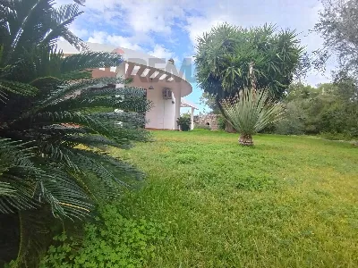 Villa in vendita a Parabita - foto 2