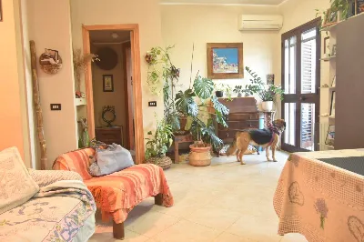 Appartamento in vendita a Monserrato - foto 1