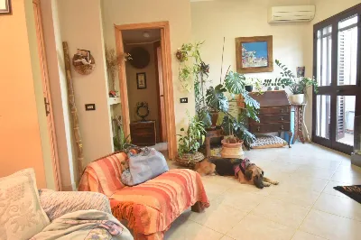 Appartamento in vendita a Monserrato - foto 2