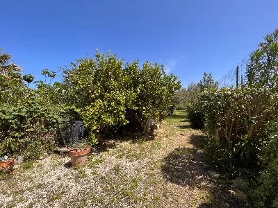 Villa in vendita a Castellammare del Golfo - foto 6