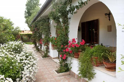 Villa in vendita a Ardea - foto 3