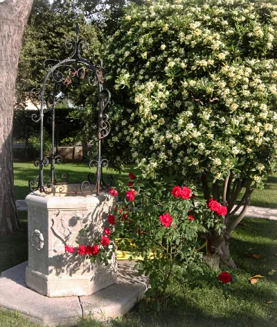 Villa in vendita a Ardea - foto 4