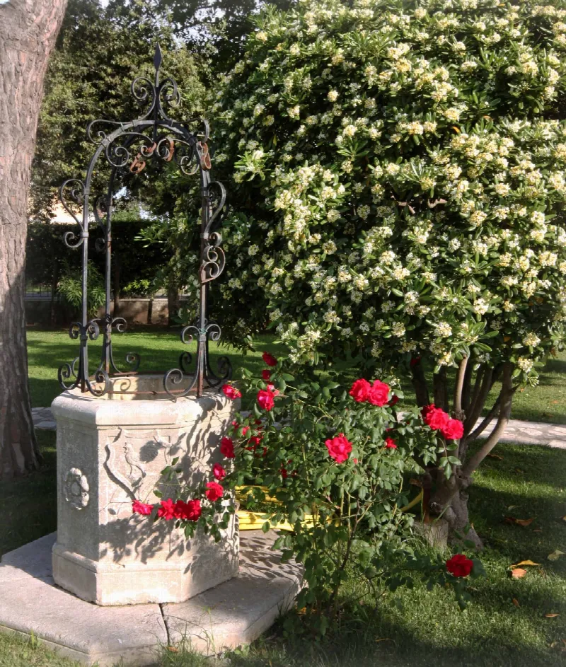 Villa in vendita a Ardea - foto 4