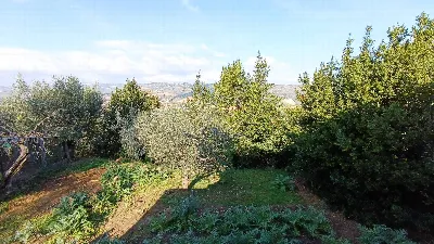 Rustico/Casale in vendita a Massignano - foto 5