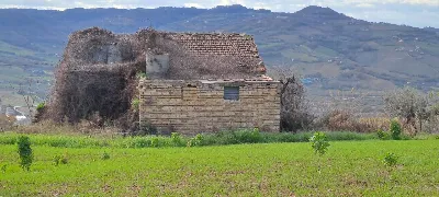 Rustico/Casale in vendita a Massignano - foto 2