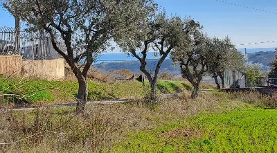 Rustico/Casale in vendita a Massignano - foto 4