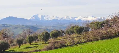 Rustico/Casale in vendita a Massignano - foto 7