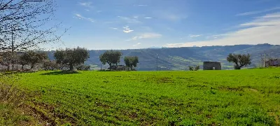 Rustico/Casale in vendita a Massignano - foto 8
