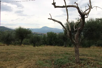 Rustico/Casale in vendita a Folignano - foto 1
