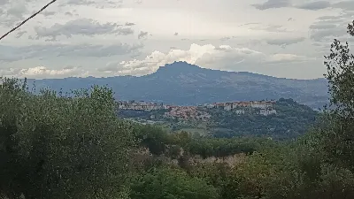 Rustico/Casale in vendita a Folignano - foto 2