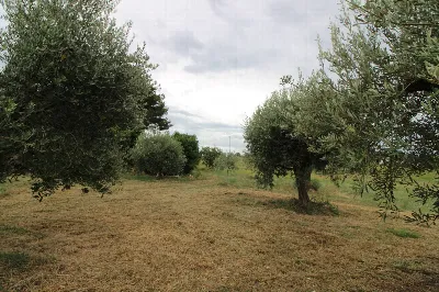 Rustico/Casale in vendita a Folignano - foto 6