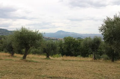 Rustico/Casale in vendita a Folignano - foto 9