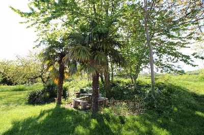 Rustico/Casale in vendita a Rotella - foto 5