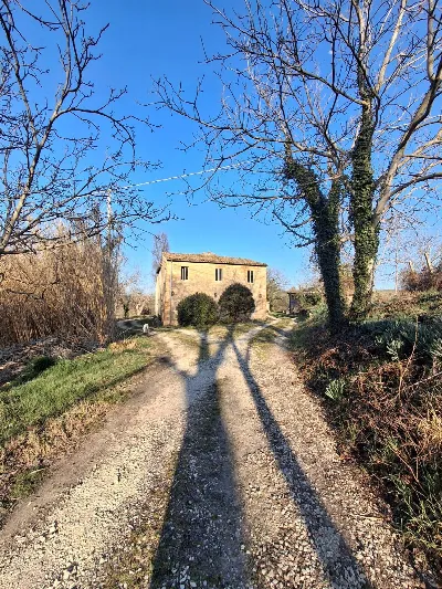 Rustico/Casale in vendita a Rotella - foto 9