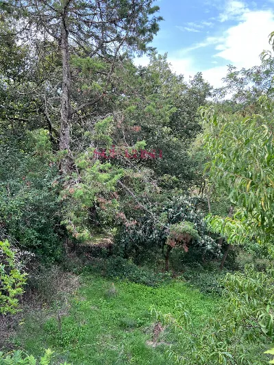 Rustico/Casale a Cinigiano