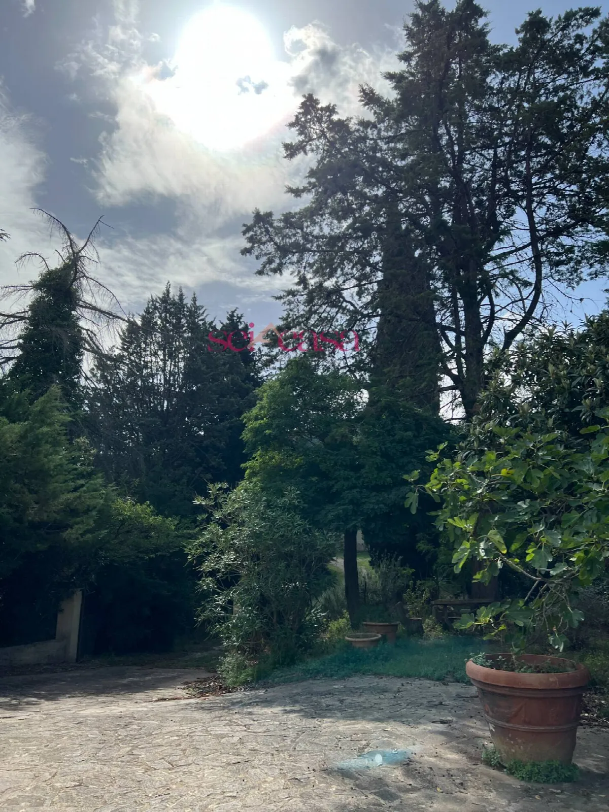 Rustico/Casale in vendita a Cinigiano - foto 3