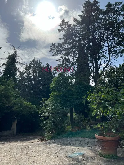 Rustico/Casale in vendita a Cinigiano - foto 3