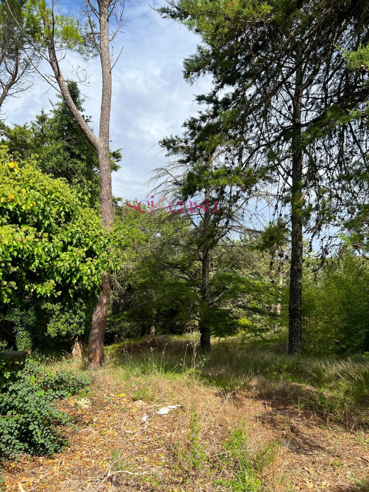 Rustico/Casale in vendita a Cinigiano - foto 4