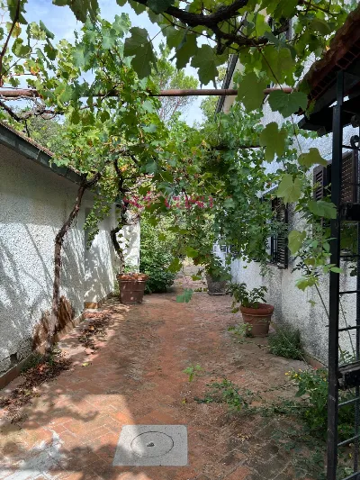 Rustico/Casale in vendita a Cinigiano - foto 5