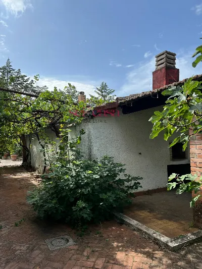 Rustico/Casale in vendita a Cinigiano - foto 6