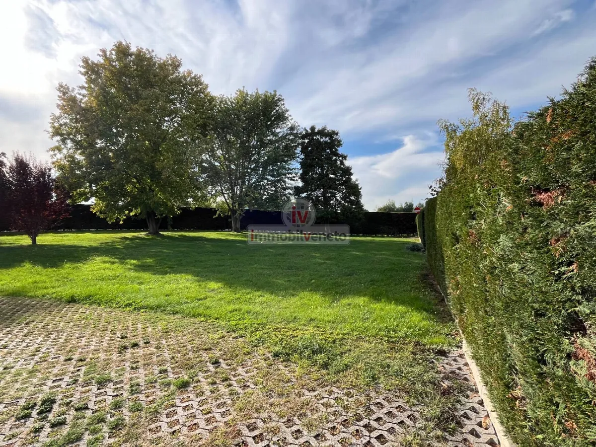 Appartamento in vendita a Lonigo - foto 4