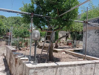 Casa Indipendente in vendita a Valderice - foto 10