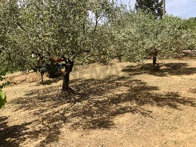 Villa a Caltagirone