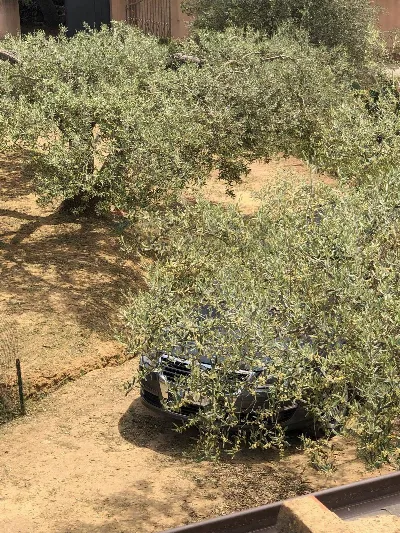 Villa in vendita a Caltagirone - foto 2