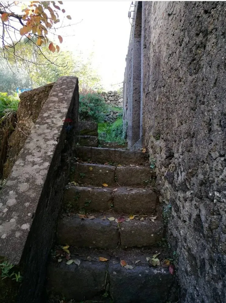 Rustico/Casale in vendita a Castiglione di Sicilia - foto 3