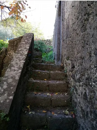 Rustico/Casale in vendita a Castiglione di... - foto 3