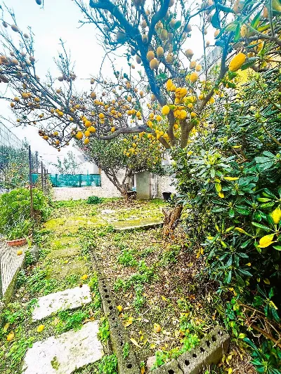 Appartamento in vendita a Forio - foto 2