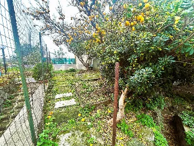 Appartamento in vendita a Forio - foto 7