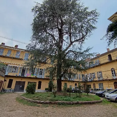 Appartamento in vendita a Asti, Centro - foto 6