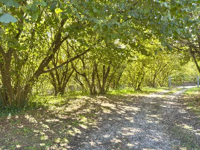 Casa Indipendente in vendita a Avellino, V... - foto 4