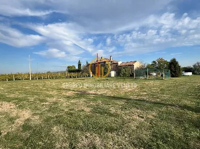 Rustico/Casale in vendita a Crocetta del M... - foto 7