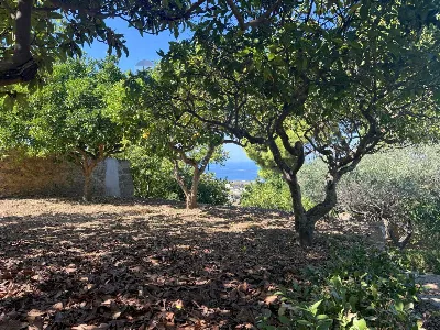 Villa in vendita a Valderice - foto 6