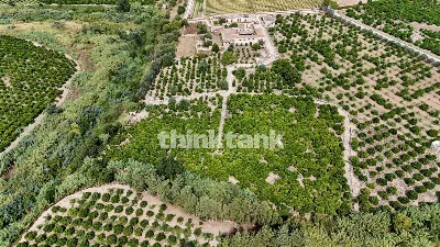 Rustico/Casale in vendita a Noto - foto 6