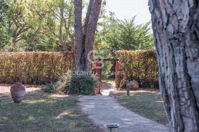 Villa in vendita a Tarquinia - foto 7