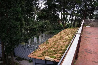 Villa in vendita a Montelepre - foto 10