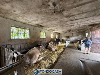Rustico/Casale in vendita a Cazzago San Ma... - foto 9