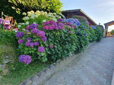 Villa in vendita a Manocalzati - foto 6