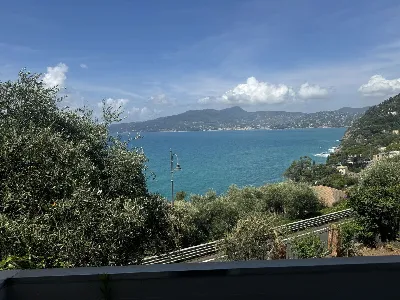 Appartamento in vendita a Zoagli - foto 4