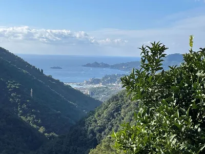Rustico/Casale in vendita a Rapallo - foto 1