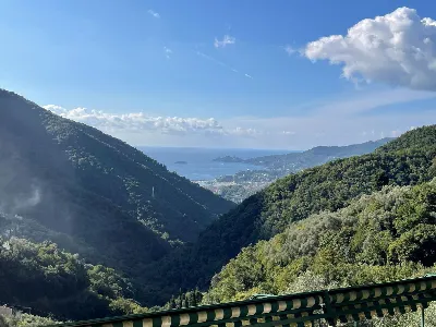 Rustico/Casale in vendita a Rapallo - foto 2
