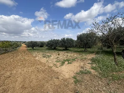 Villa in vendita a Grammichele - foto 1