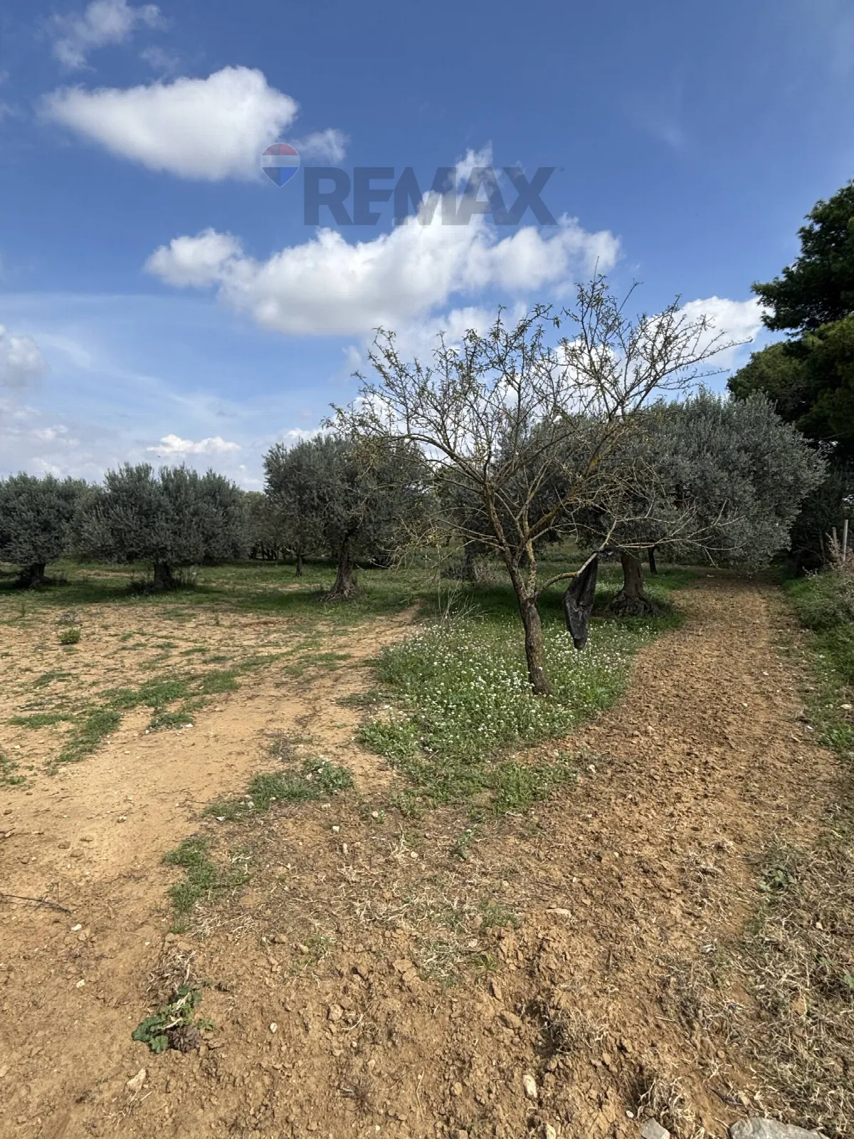 Villa in vendita a Grammichele - foto 2