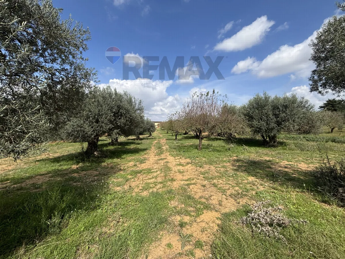 Villa in vendita a Grammichele - foto 3