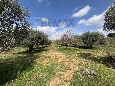 Villa in vendita a Grammichele - foto 3