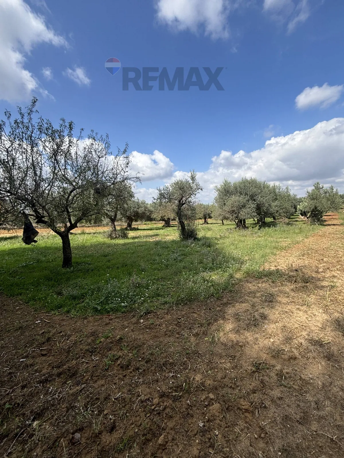 Villa in vendita a Grammichele - foto 4