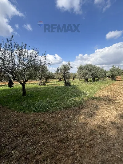 Villa in vendita a Grammichele - foto 4